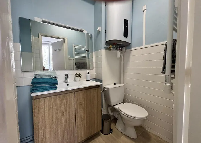 Le Puy Mary - - 1 Lit - 2 Pers - Clim * シャテルギュイヨン